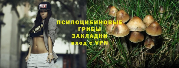 тгк Рославль