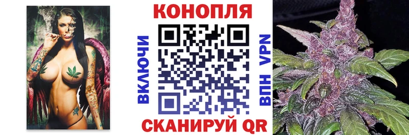 где найти наркотики  Бабаево  Канабис гибрид 